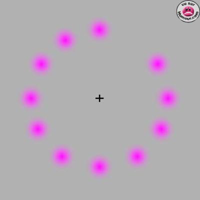 di moi ske tu voi !!!!!